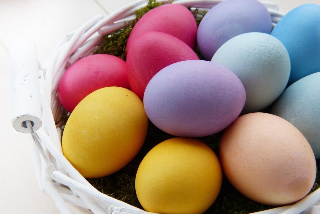 rhode island red chicken egg colours