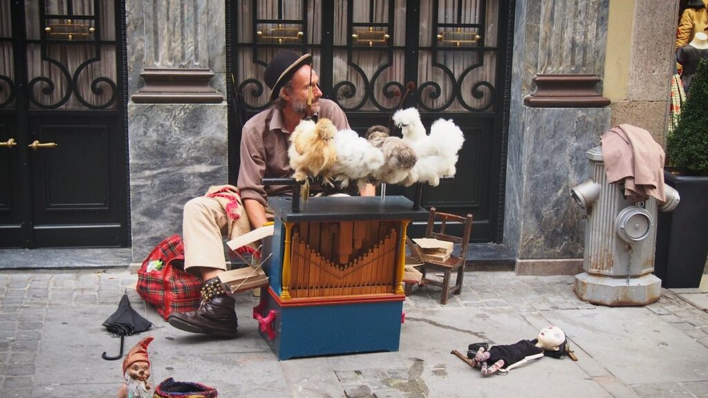 traveling with chickens tips