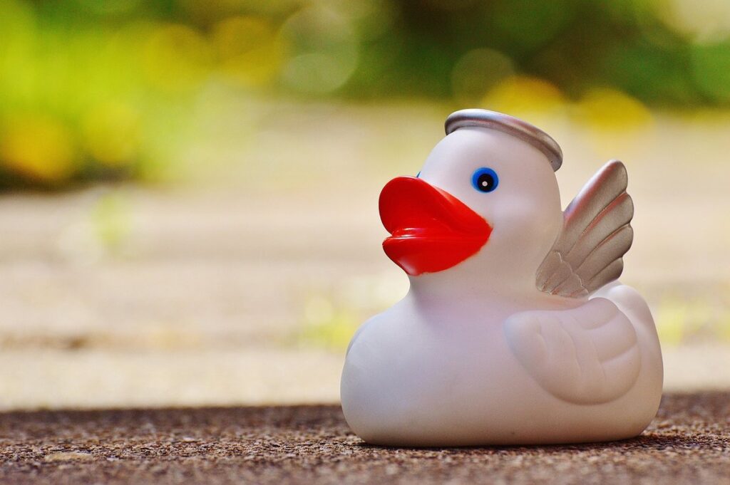 preventing angel wing in ducks