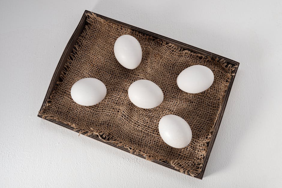 false eggs in nesting boxes -> false eggs