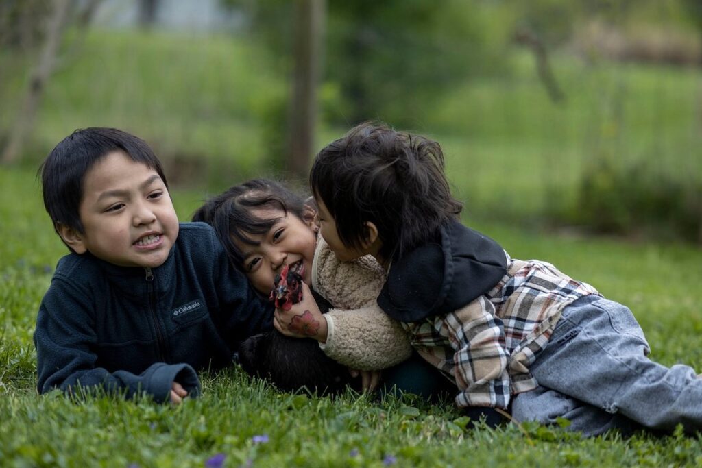 end of lay hen options