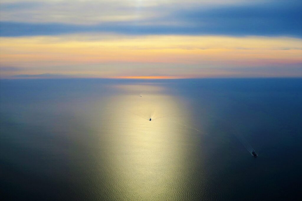 marans vs ameraucana