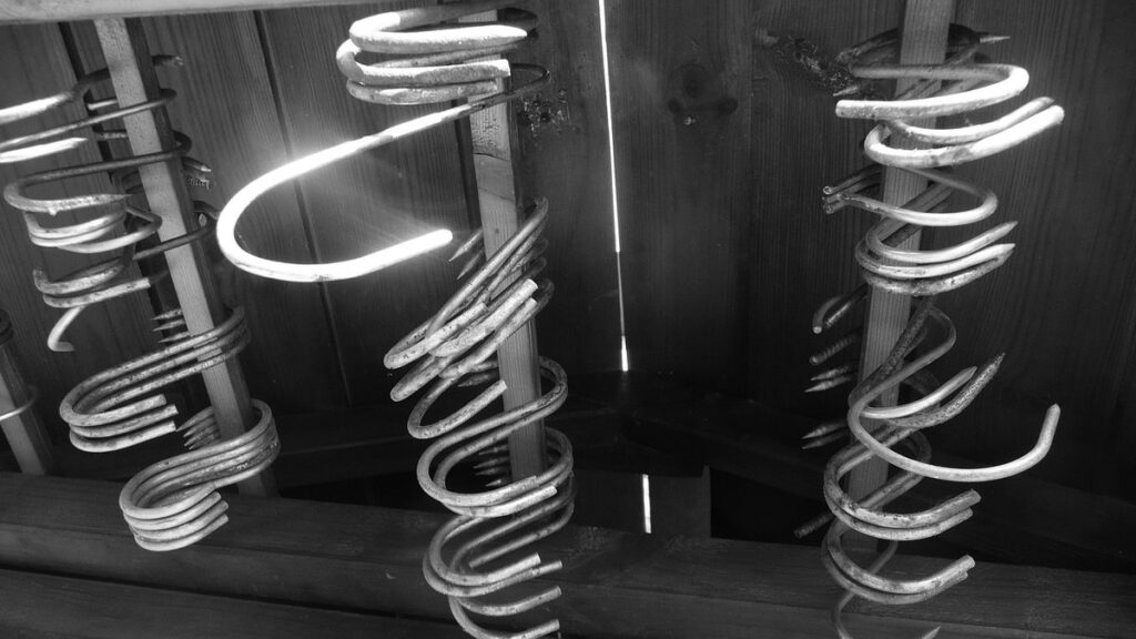 meat bird processing timeline