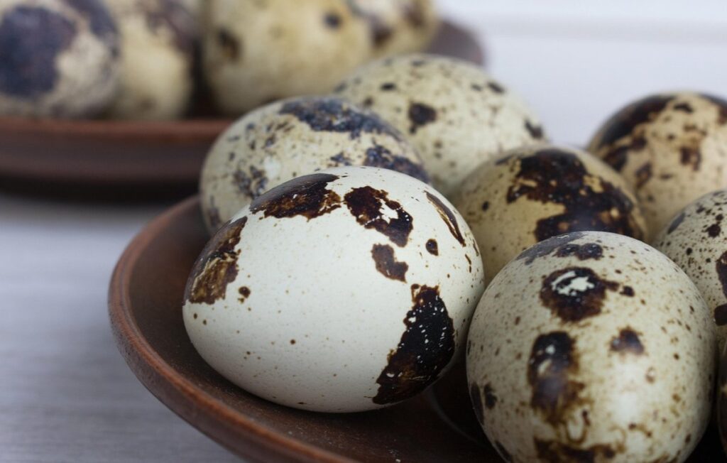 quail egg nutrition
