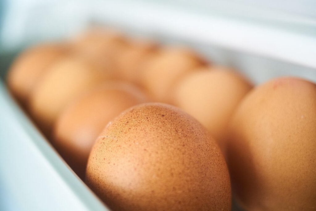 refrigerate chicken eggs