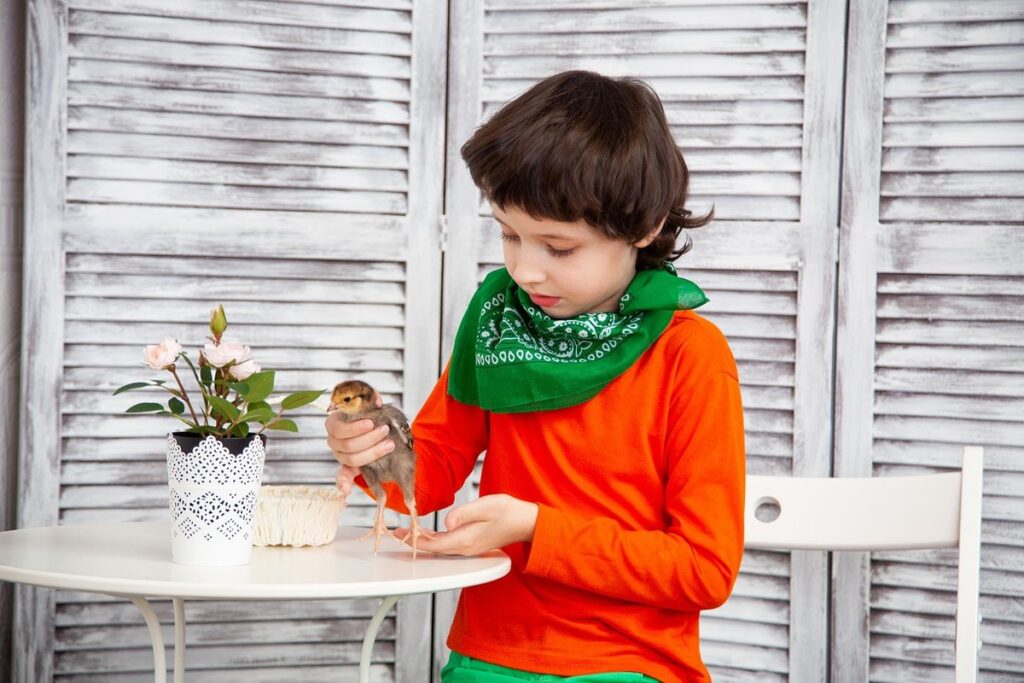 are chickens mammals