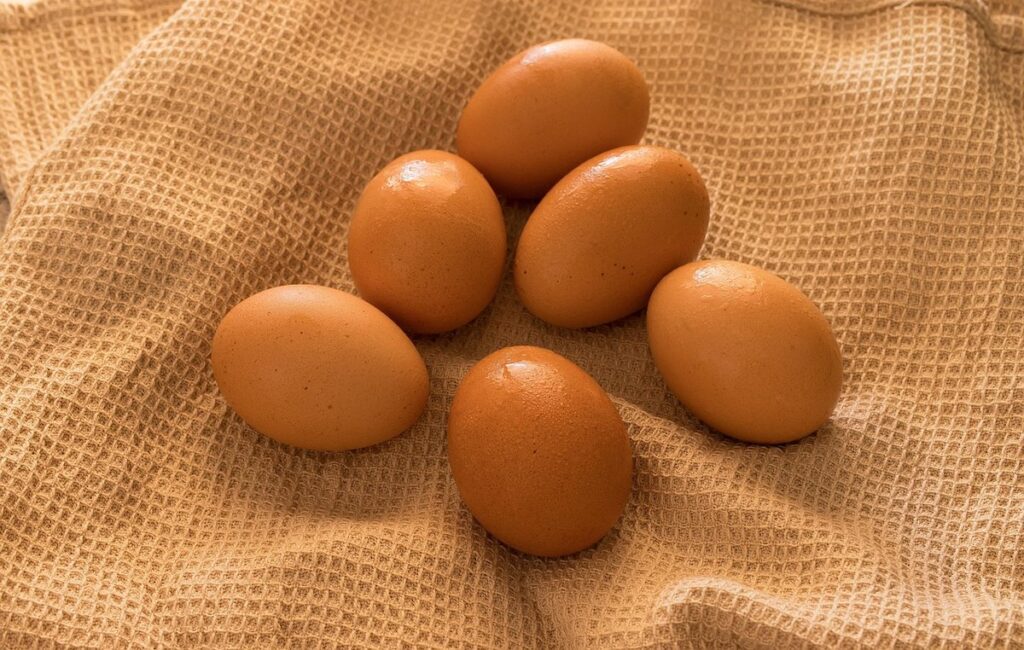 Cage free chicken farm -> Cage free chickens