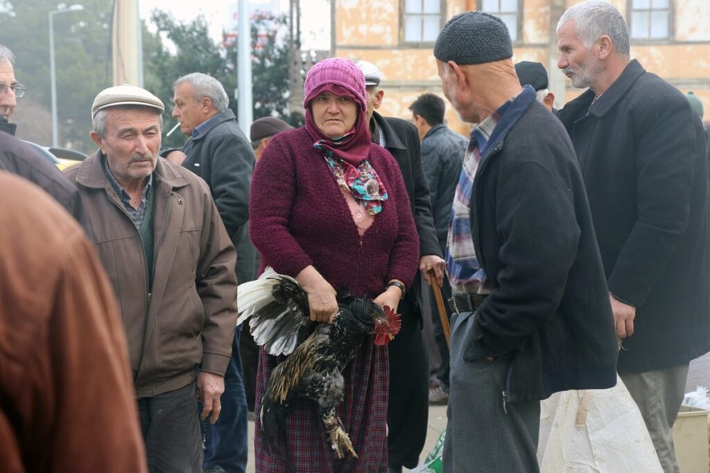 how to tell age of chickens