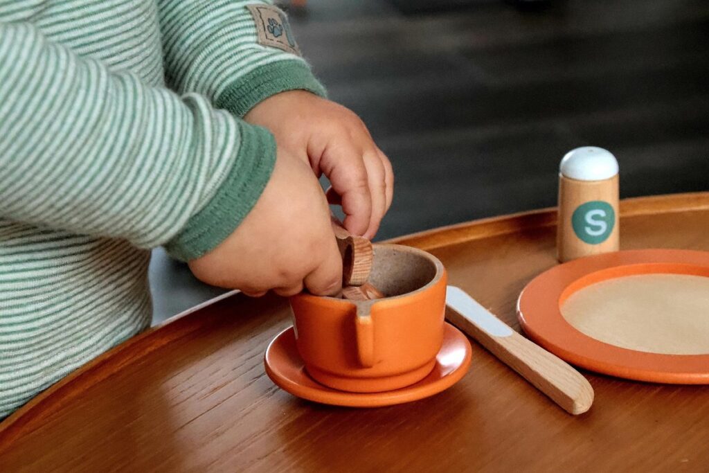 chicken toys enrichment