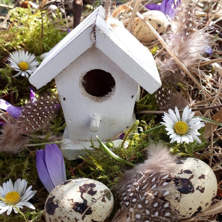 quail housing