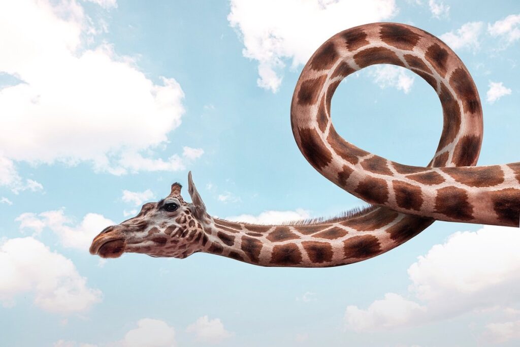 twisted neck chicken